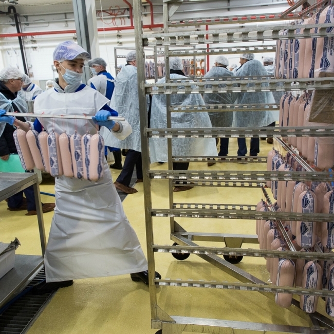 В Камешковском районе разместиться комплекс по производству мяса индейки