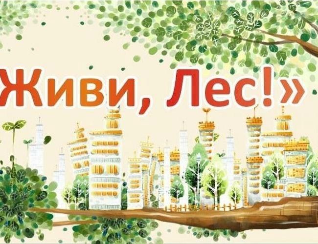 Во Владимирской области общими усилиями молодежи и активистов спасают лес