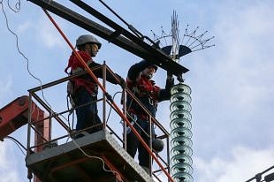 На восьми ЛЭП Владимирской области установили птицезащитные устройства