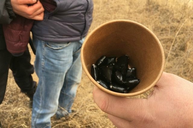 Владимирец получил 7,5 лет за наркотики в закладках